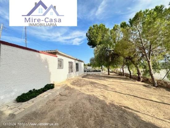 SE VENDE CHALET EN LA ROMANA CON PISCINA - ALICANTE