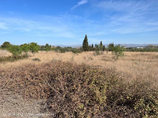 FINCA RUSTICA PARA EL CULTIVO - VALENCIA