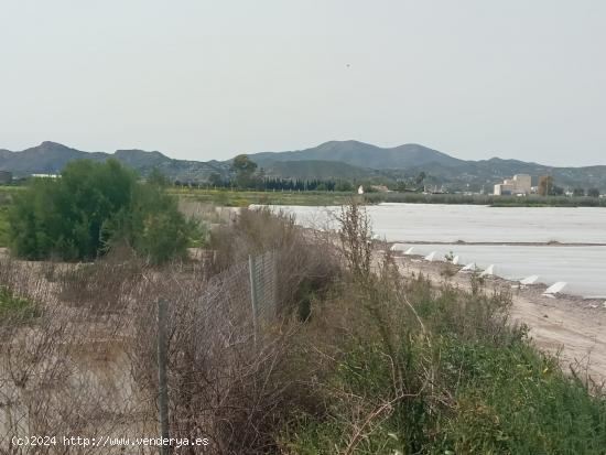 Terreno para cultivo de regadio - MURCIA