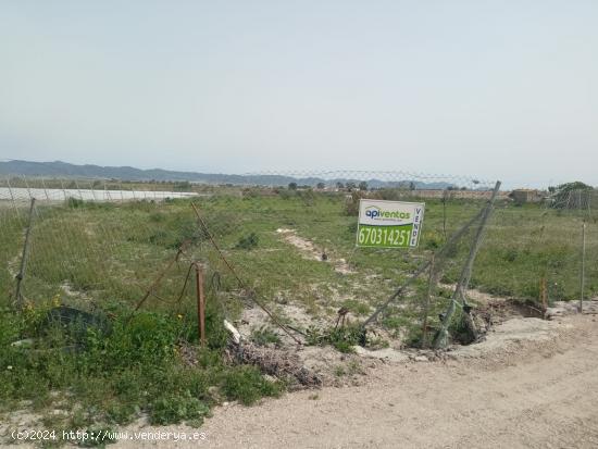 Terreno para cultivo de regadio - MURCIA