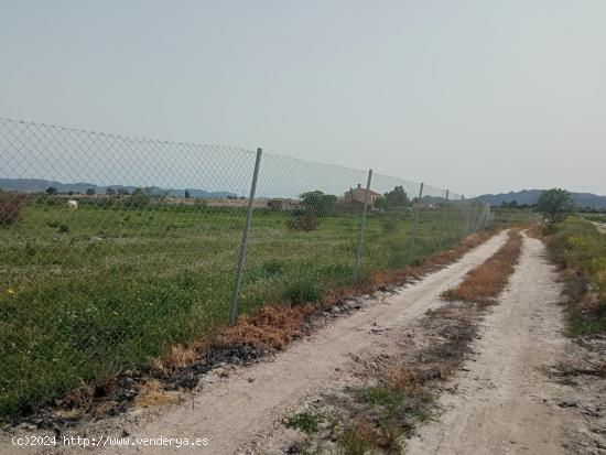 Terreno para cultivo de regadio - MURCIA