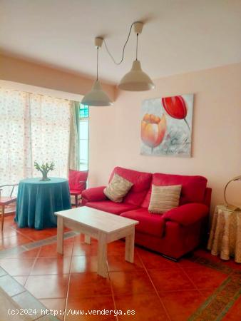 Apartamento en Alquiler en Zona Plaza Mayor de Caceres - CACERES