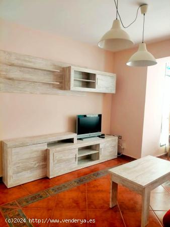 Apartamento en Alquiler en Zona Plaza Mayor de Caceres - CACERES