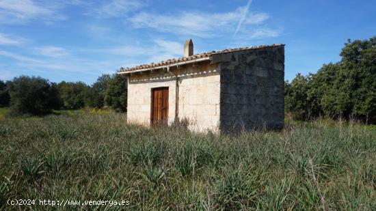  Finca rustica en venta en Binissalem - BALEARES 