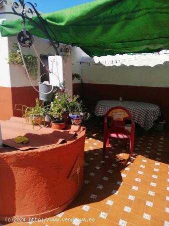 CASA PLANTA BAJA EN BUENA ZONA - SEVILLA