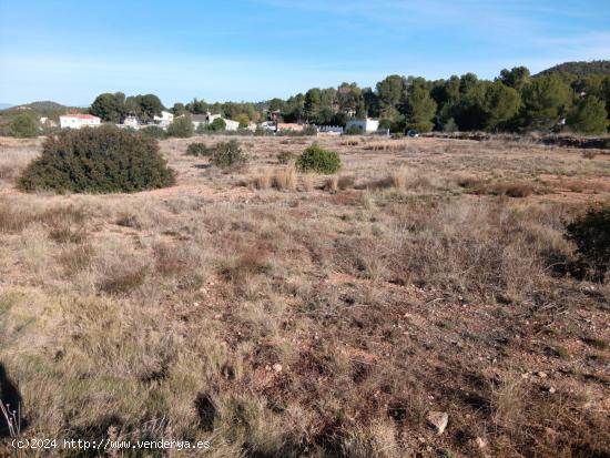 JUNTO A LA URBANIZACION MONTE HORQUERA - VALENCIA