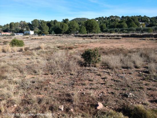 JUNTO A LA URBANIZACION MONTE HORQUERA - VALENCIA