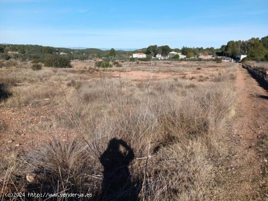 JUNTO A LA URBANIZACION MONTE HORQUERA - VALENCIA