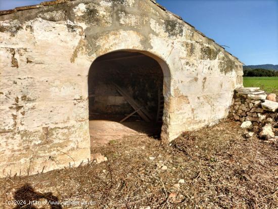 TERRENOS RÚSTICOS EN ZONA DES PLANS - BALEARES