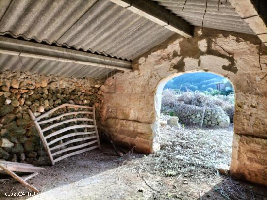 TERRENOS RÚSTICOS EN ZONA DES PLANS - BALEARES