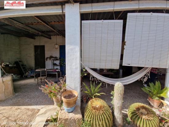 VENTA FINCA CON CASA PARA REFORMAR EN LA HOYA - ALICANTE