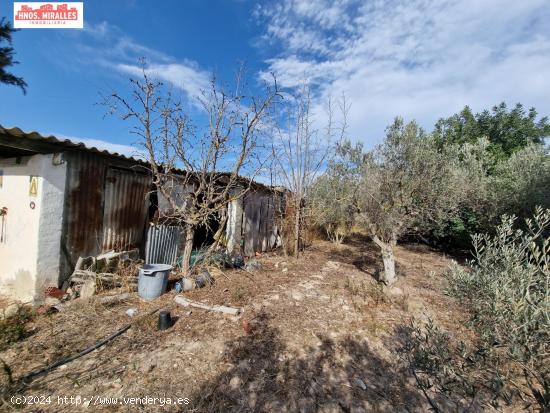 VENTA FINCA CON CASA PARA REFORMAR EN LA HOYA - ALICANTE