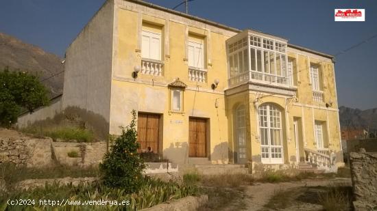 SE VENDE FINCA Y PODER CONSTRUIR BUNGALOWS  EN RAIGUERO DE BONANZA (ORIHUELA) - ALICANTE