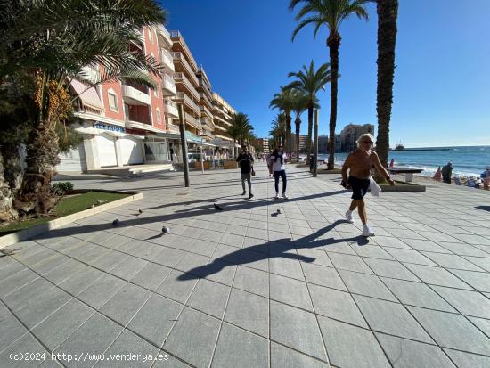 Apartamento en primera linea con vistas al mar - ALICANTE