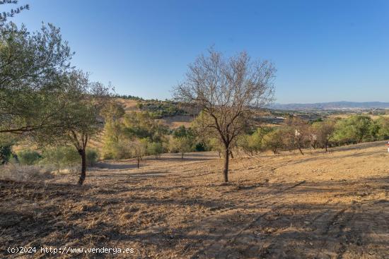  TERRENO RUSTICO ZONA ALQUERIA - MALAGA 