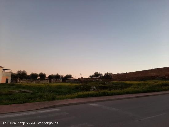 Solar, terreno para construir, en el Casar de Cáceres - CACERES