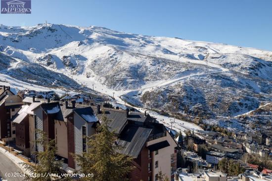 Precioso Estudio en Sierra Nevada a estrenar - GRANADA