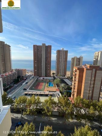 APARTAMENTO 2ªLINEA DE PLAYA LEVANTE BENIDORM!! - ALICANTE