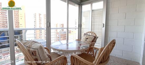 APARTAMENTO 2ªLINEA DE PLAYA LEVANTE BENIDORM!! - ALICANTE