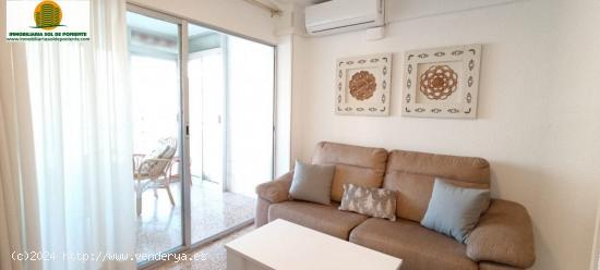 APARTAMENTO 2ªLINEA DE PLAYA LEVANTE BENIDORM!! - ALICANTE