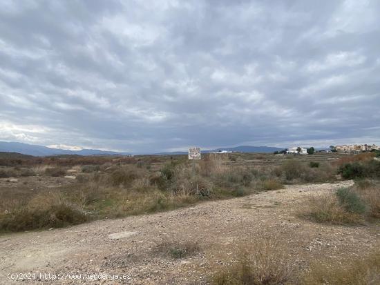 Parcela en Vera. - ALMERIA