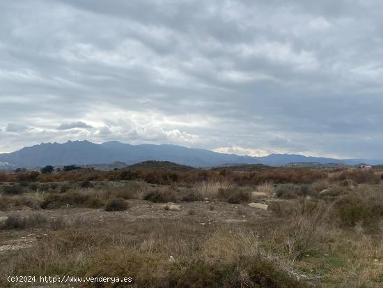 Parcela en Vera. - ALMERIA