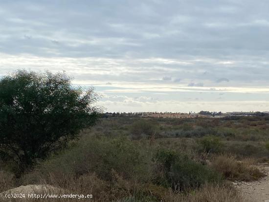 Parcela en Vera. - ALMERIA