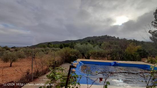 LA CABRA TIRA  PAL  MONTE - ALICANTE