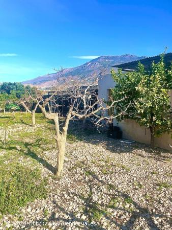 TERRENO CON CORTIJO - ALMERIA