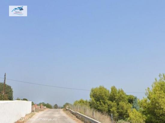 Venta Industria Agraria en Castellón de la Plana - CASTELLON