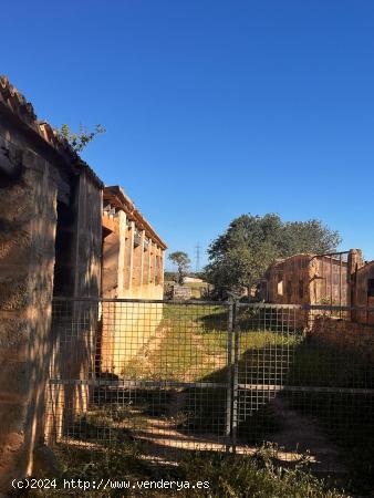 SE VENDE FINCA RUSTICA CON MUCHAS POSIBILIDADES EN LLUCMAJOR - BALEARES