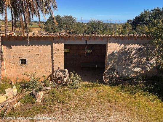 SE VENDE FINCA RUSTICA CON MUCHAS POSIBILIDADES EN LLUCMAJOR - BALEARES