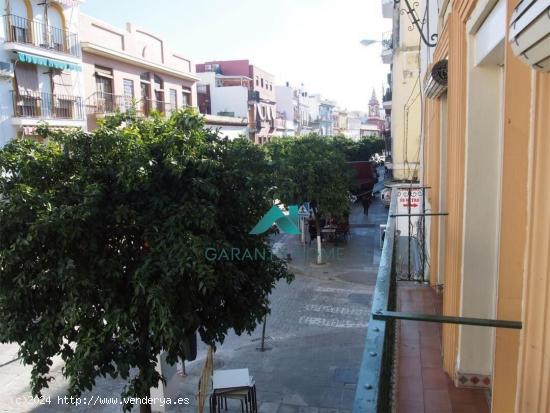 Piso de alquiler en Triana, Sevilla - SEVILLA