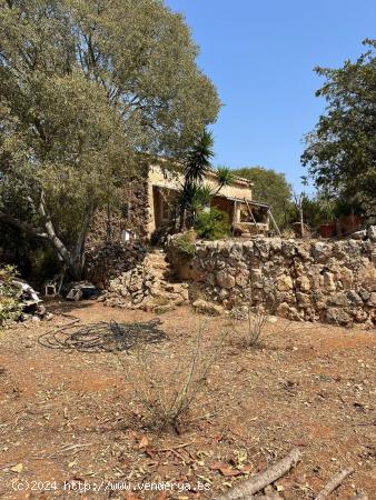 FINCA 46000 EN SENCELLES CON DOS CASITAS PARA REFORMAR - BALEARES