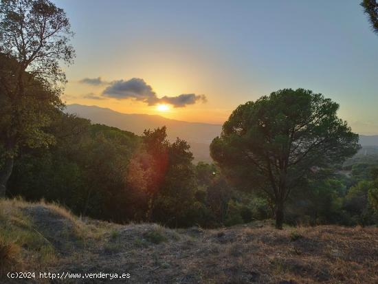  Gran terreno espectacular, a 5 minutos del centro de Mataró - BARCELONA 