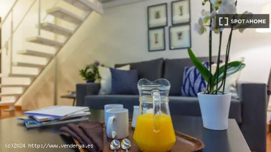 Apartamento entero de 1 habitaciones en Madrid - MADRID