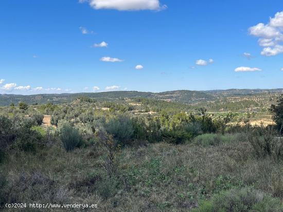 Terreno llano en Calaceite - TERUEL