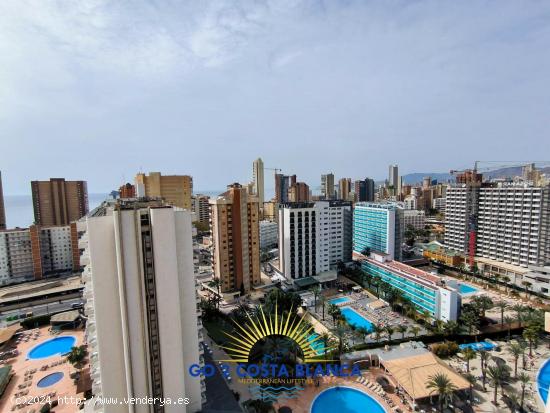 Se Vende en Benidorm - ALICANTE