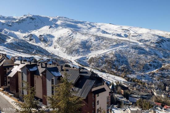 Precioso Estudio en Sierra Nevada a estrenar - GRANADA