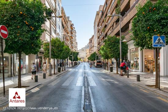  Estupendo piso dividido en dos situado en Calle Recogidas - GRANADA 