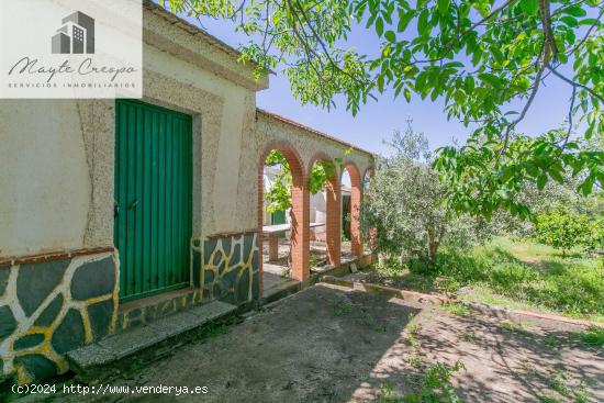   ¡Vive la vida en el campo! Terreno con casa de aperos y cultivos de olivos y frutales en ve - GRAN 