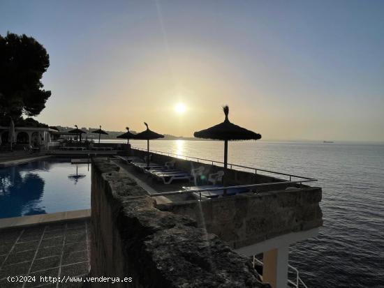 Piso alquiler en Illetes - BALEARES