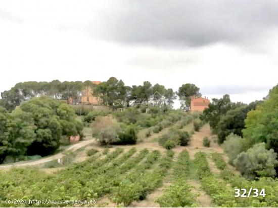 FINCA D’EN RODRÍGUEZ  -750 m2  -  terreno 120000m2 - TARRAGONA