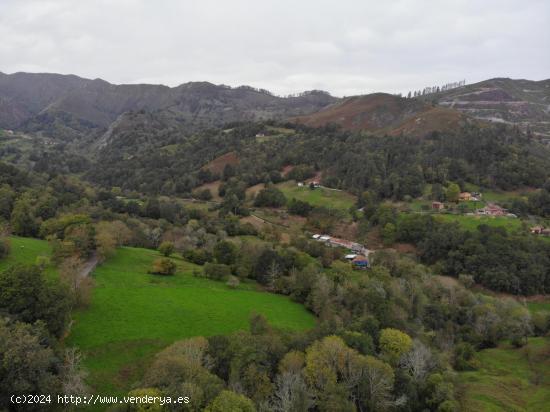 FINCA RÚSTICA EDIFICABLE EN PILOÑA, INFIESTO - ASTURIAS