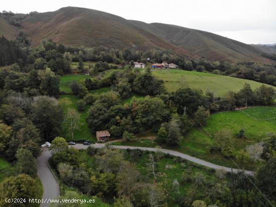 FINCA RÚSTICA EDIFICABLE EN PILOÑA, INFIESTO - ASTURIAS