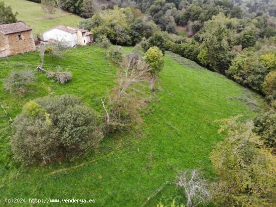 FINCA EDIFICABLE EN PARAÍSO NATURAL  PILOÑA (INFIESTO) - ASTURIAS