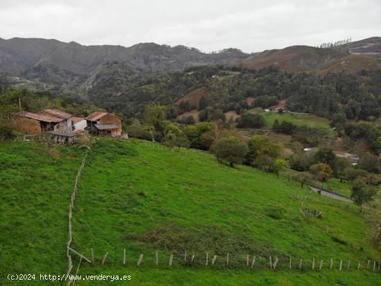 FINCA EDIFICABLE EN PARAÍSO NATURAL  PILOÑA (INFIESTO) - ASTURIAS