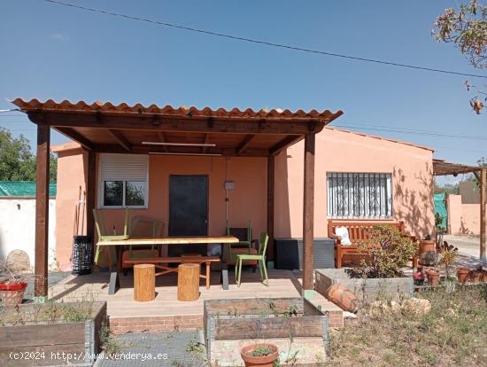  OPORTUNIDAD DE FINCA URBANA EN VALLMOLL (URB. LES PLANES) - TARRAGONA 