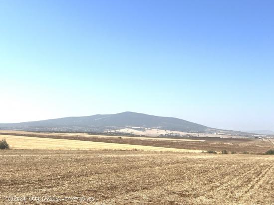  FINCA EN ZONA DE LAS CABEZAS (DON BENITO). ZONA CARRETERA CRUCES - BADAJOZ 