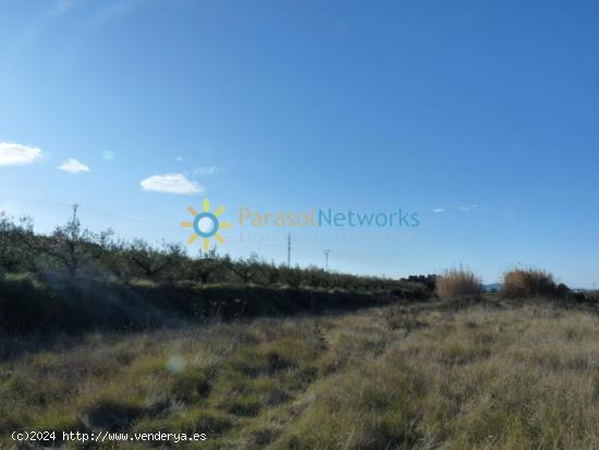 Caseta de campo a la venta en Castellón de Rugat - VALENCIA